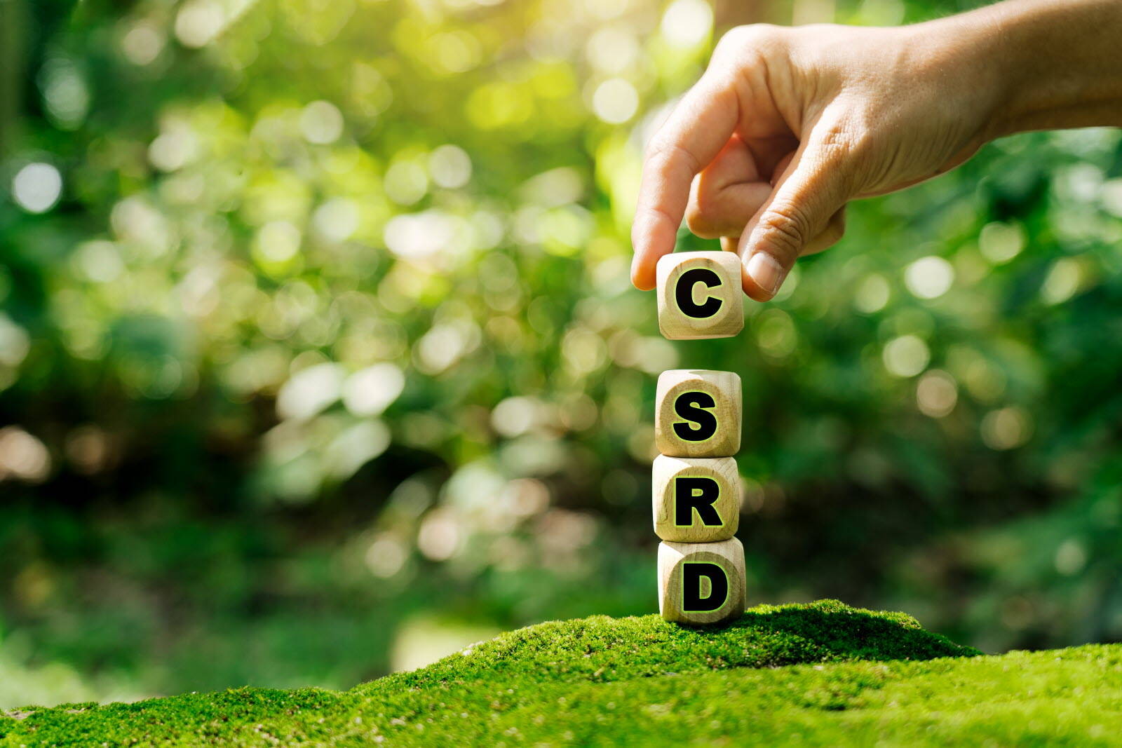 CSRD : which tool should you choose to meet your reporting obligations?